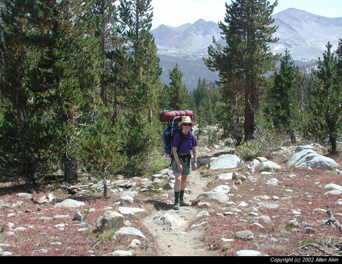 2002Palisades/100023