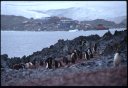 1999Antarctica/040033