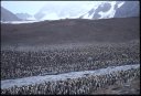 1999Antarctica/110006