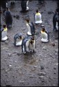 1999Antarctica/140029