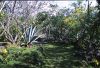 2002Galapagos/050005