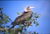 2002Galapagos/090027