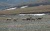 2005Alaska/010082