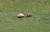 2005Alaska/030112