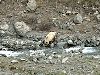 2005Alaska/030115