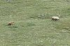 2005Alaska/030116