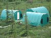 2005Alaska/050356