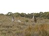 2005Australia/020113