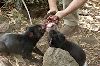 2005Australia/030046