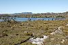 2005Australia/040008