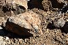 2005Australia/040039