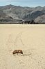 2006DeathValley/010050